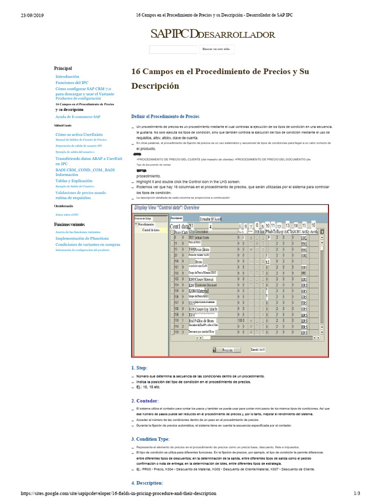 Campos del Procedimiento de Precios en SAP | PDF | Programación de ...