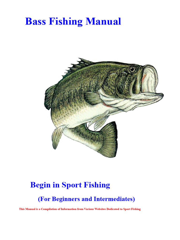 Bass Fishing Guide for Beginners | PDF | Fishing Rod | Outdoor ...