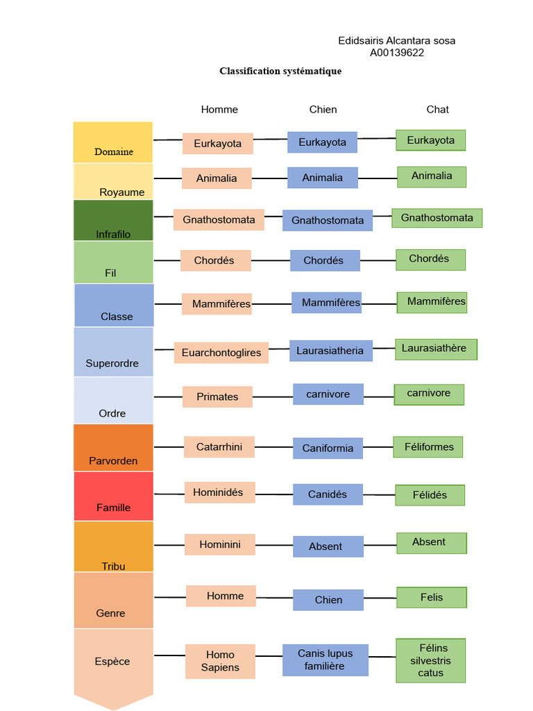 Classification des espèces : Homme et animaux | PDF