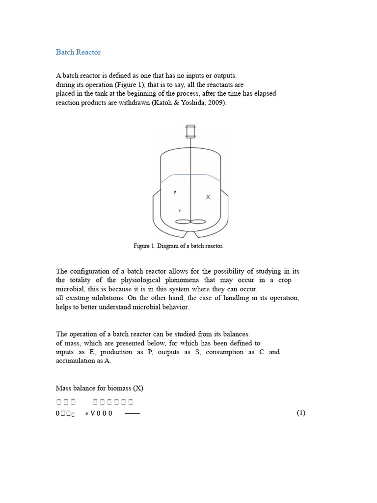 Understanding Batch Reactor Operations | PDF | Chemical Reactor ...