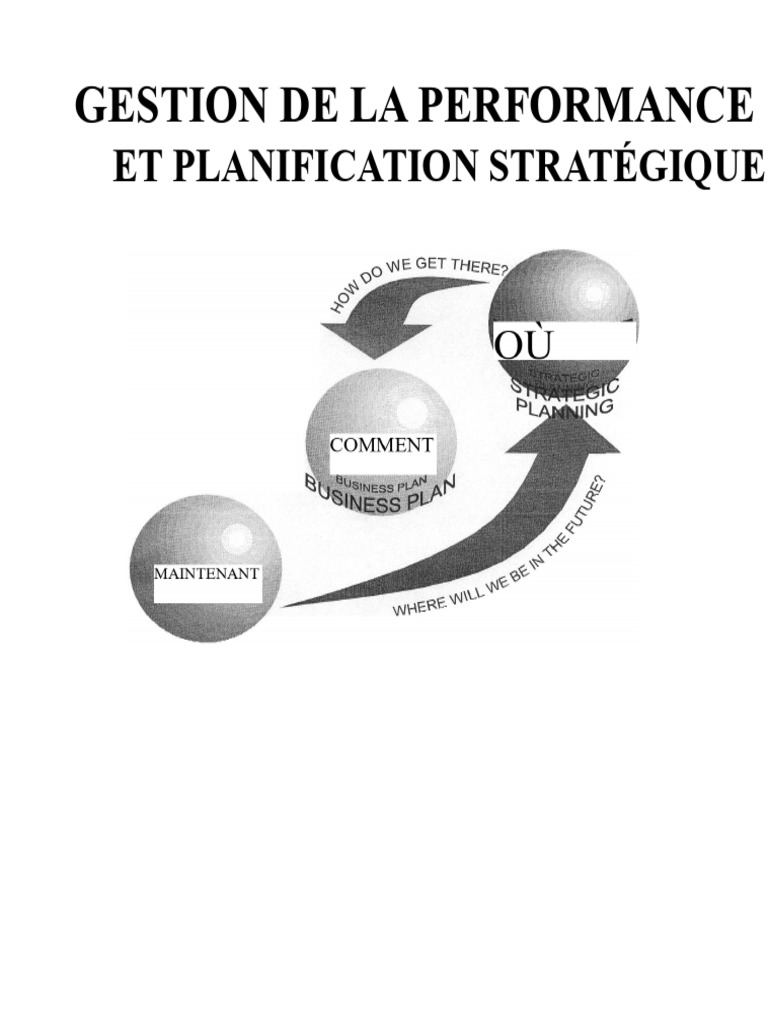 Gestion de la Performance et Stratégie | PDF | Planification | Gestion ...