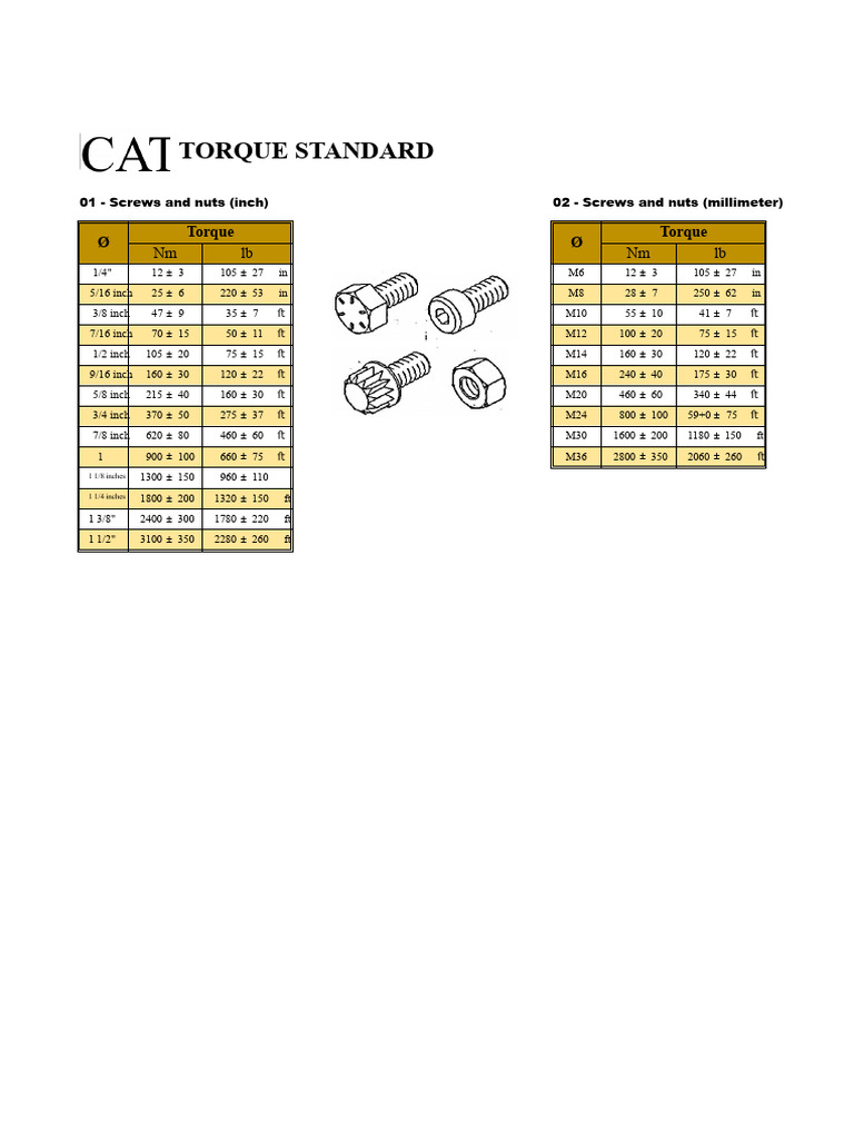 Torque Standards for Screws and Nuts | PDF