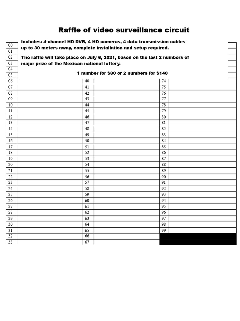 Video Surveillance Raffle Details | PDF