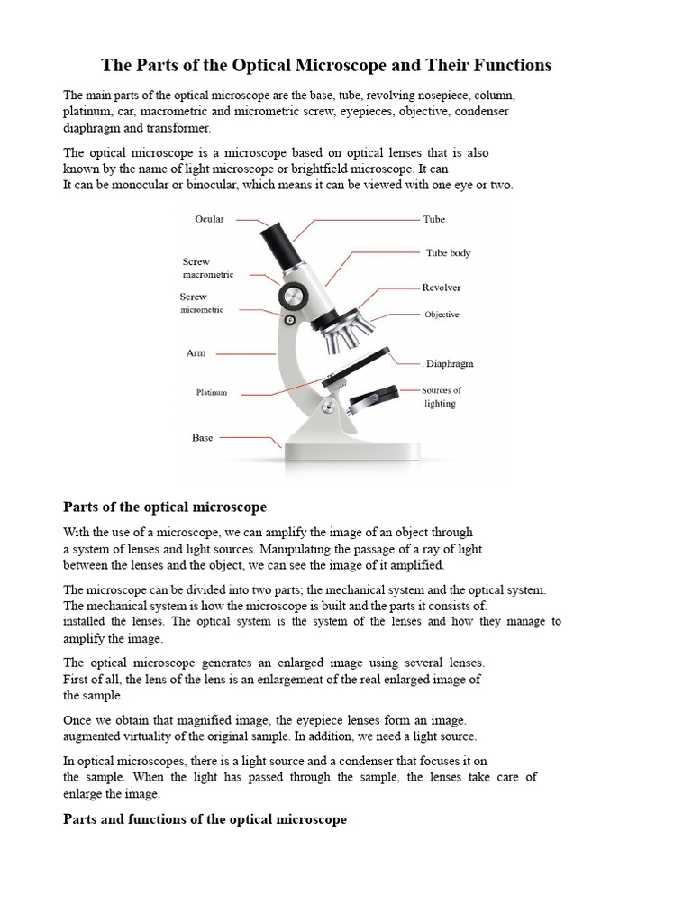 Parts and Functions of Optical Microscopes | PDF | Electromagnetic ...