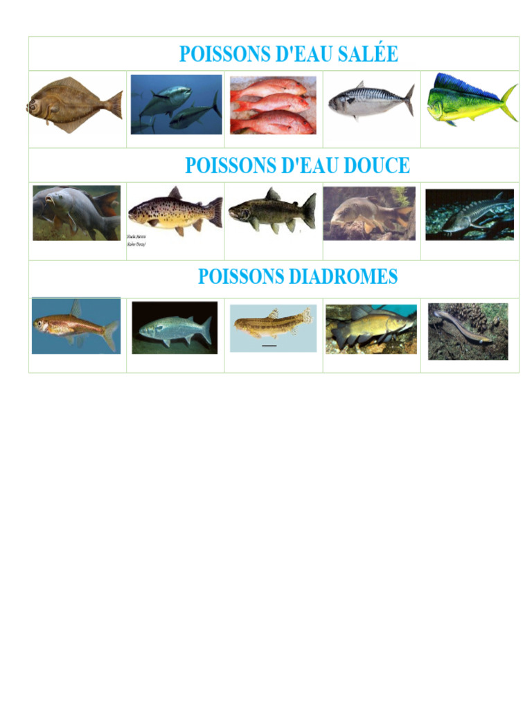 Poissons de Mer PDF — free download