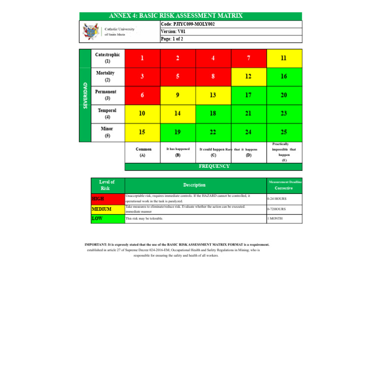ANNEX 04 - Basic Risk Evaluation Matrix DS-024 | PDF | Risk | Risk ...