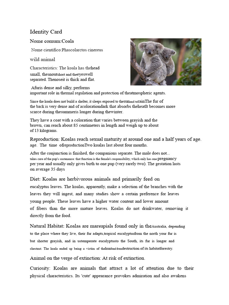 Koala | PDF