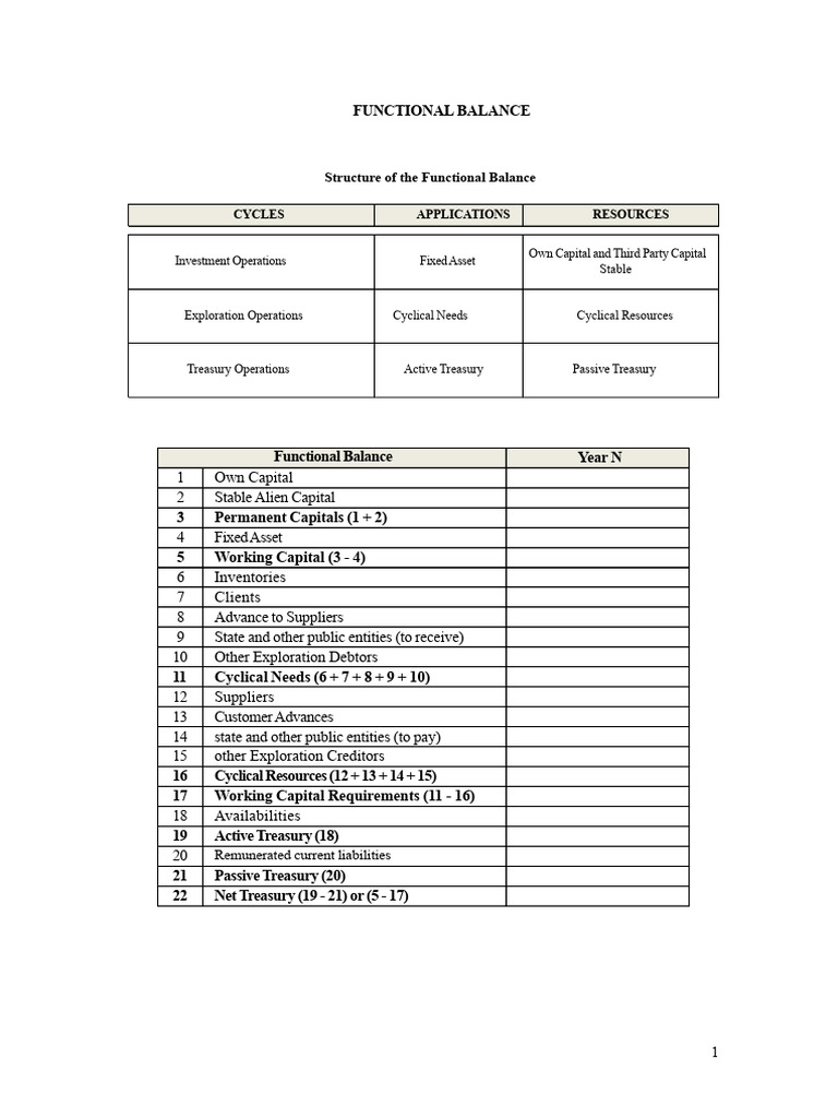 Understanding Functional Balance Structure | PDF | Equity (Finance ...