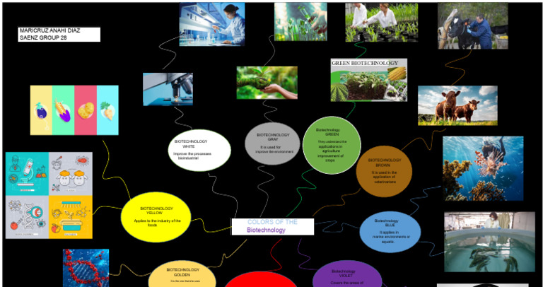 COLORS OF BIOTECHNOLOGY | PDF | Biotechnology | Visual Perception