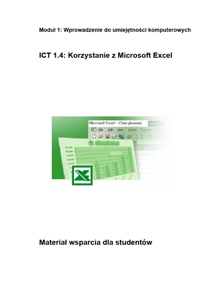 Ms Excel | PDF