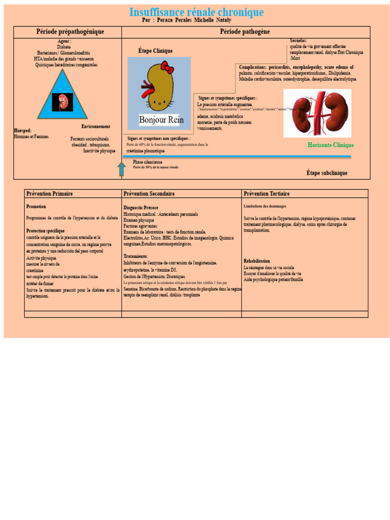 Comprendre l'insuffisance rénale chronique | PDF | Hypertension ...