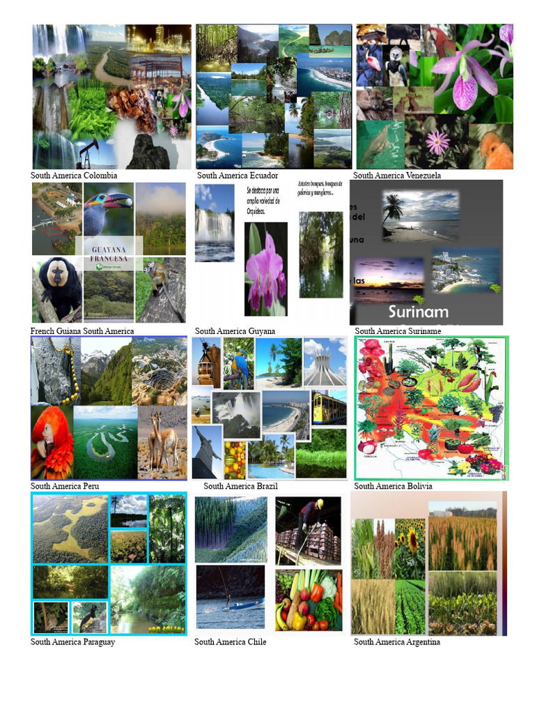 NATURAL RESOURCES OF AMERICA | PDF