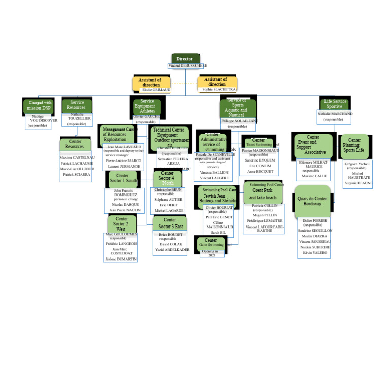 DS Organization Chart 2021 | PDF