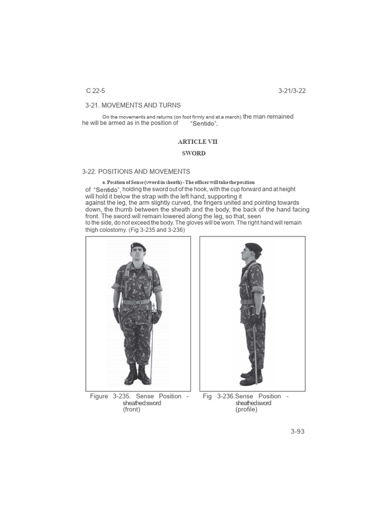 SWORD | PDF | Hand | Sword