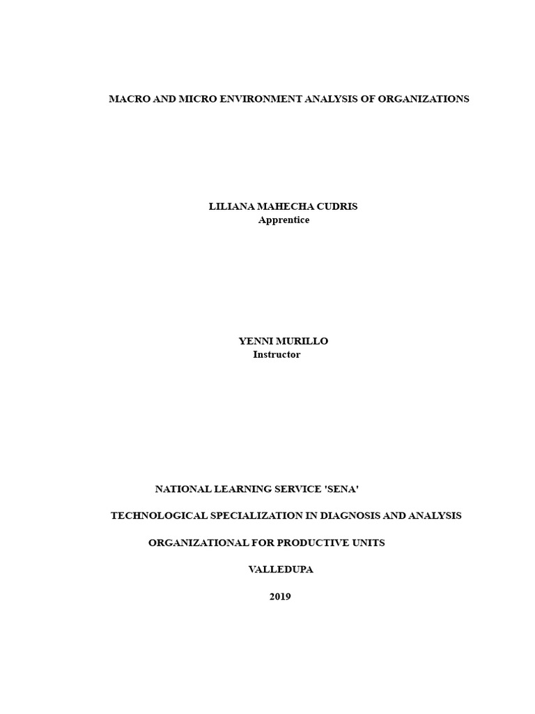 Macro and Micro Environment Analysis | PDF | Employment | Entrepreneurship