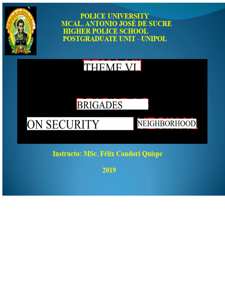 Neighborhood Security Brigade Guidelines | PDF | Police | Community