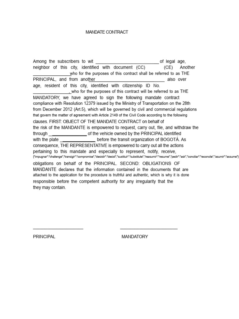 Mandate Contract for Vehicle Representation | PDF