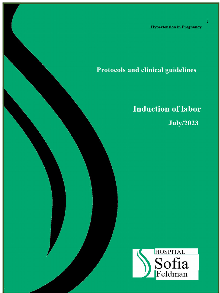 Labor Induction Protocols for Pregnancy | PDF | Childbirth | Human ...