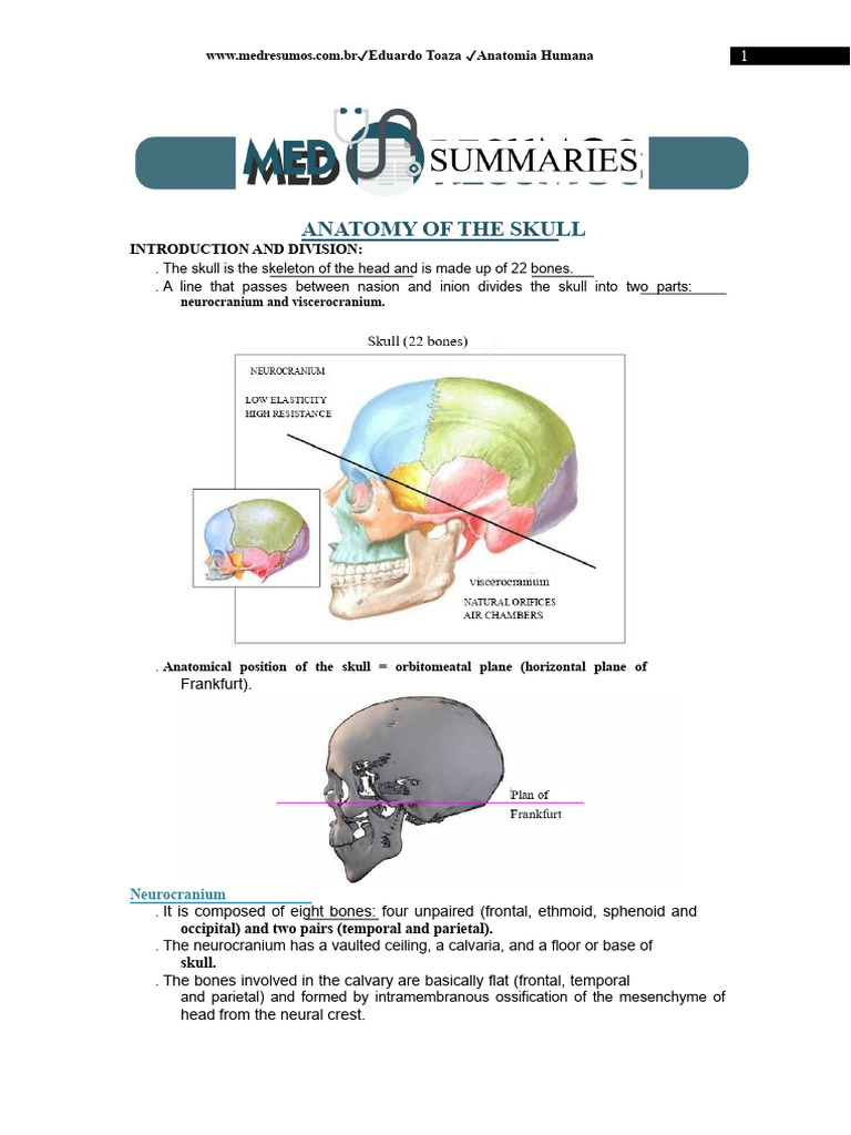 Anatomy of the Skull | PDF | Human Nose | Skull