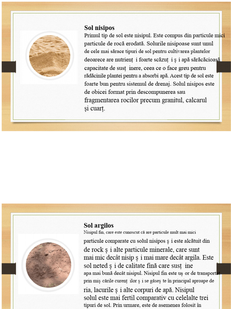 Tipuri de Sol | PDF
