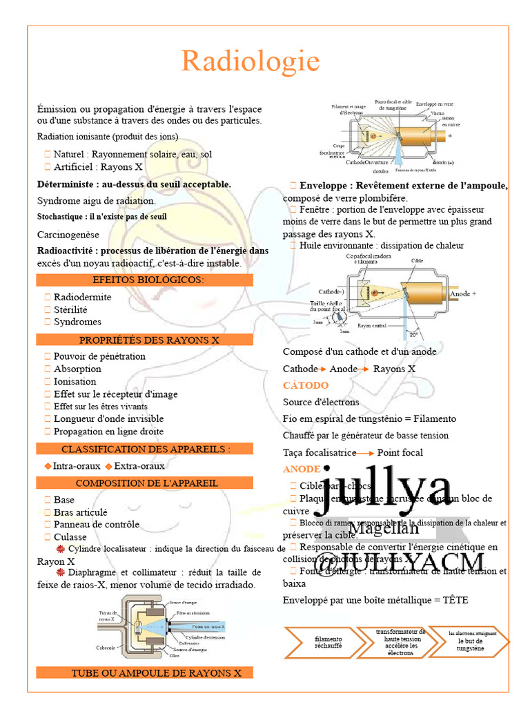 Guide complet sur la radiologie dentaire | PDF | Dent humaine ...