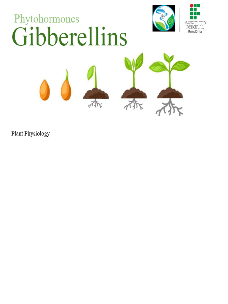 Understanding Gibberellins in Plants | PDF | Seed | Plants