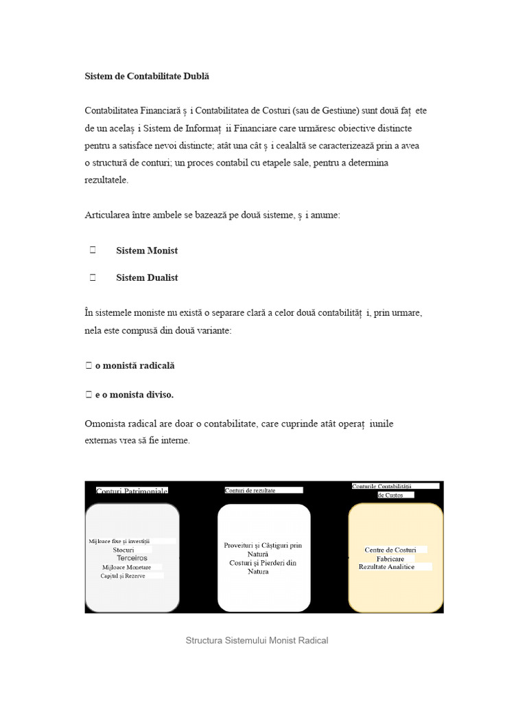 Sistemul de Contabilitate În Dublu Contabil | PDF