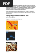 A Microbiologia - Virus, Bacterias e Fungos