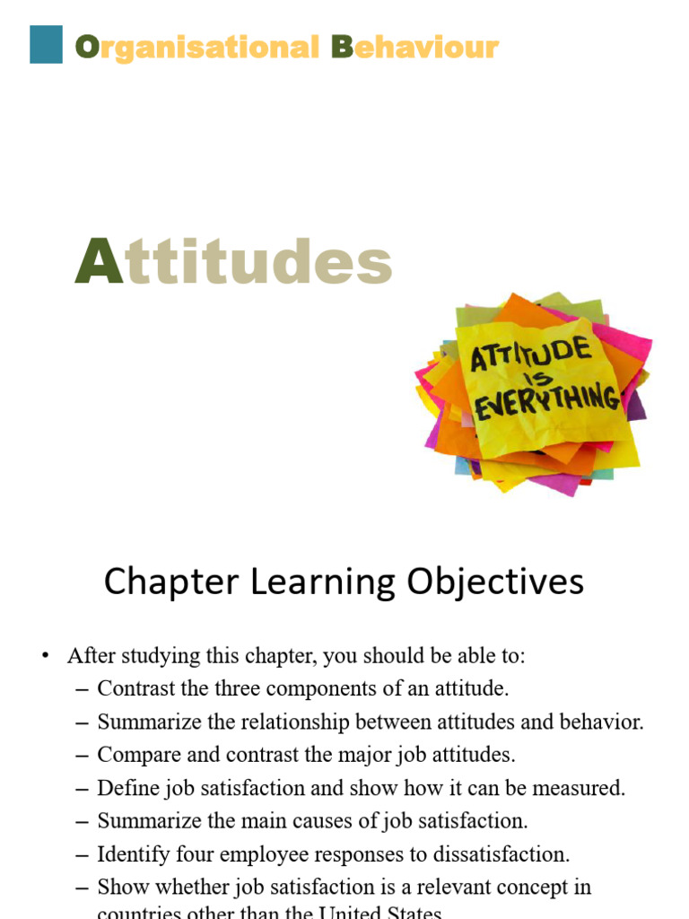 chapter 3 | PDF | Job Satisfaction | Attitude (Psychology)