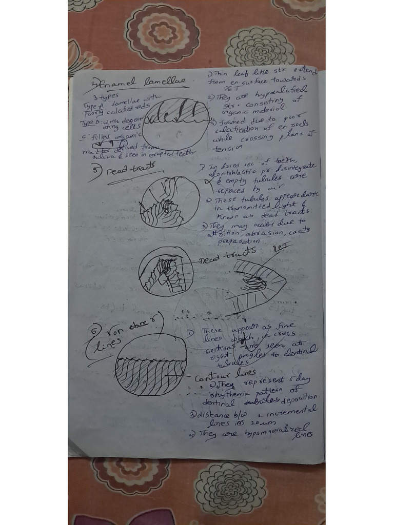 Dadh | PDF