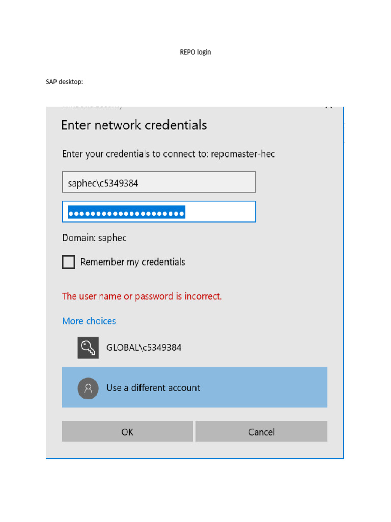 REPO Login | PDF