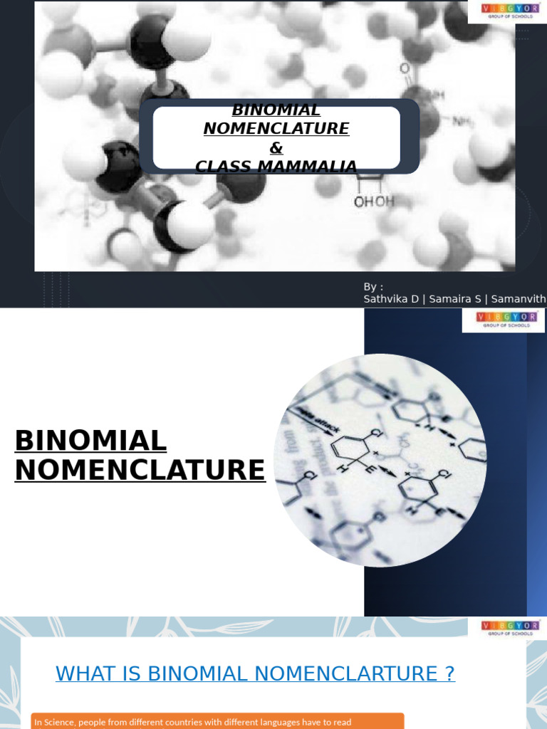 Binomial Nomenclature & Mammals Overview | PDF | Zoology | Biology