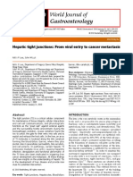 Liver Cancer Metasstasis