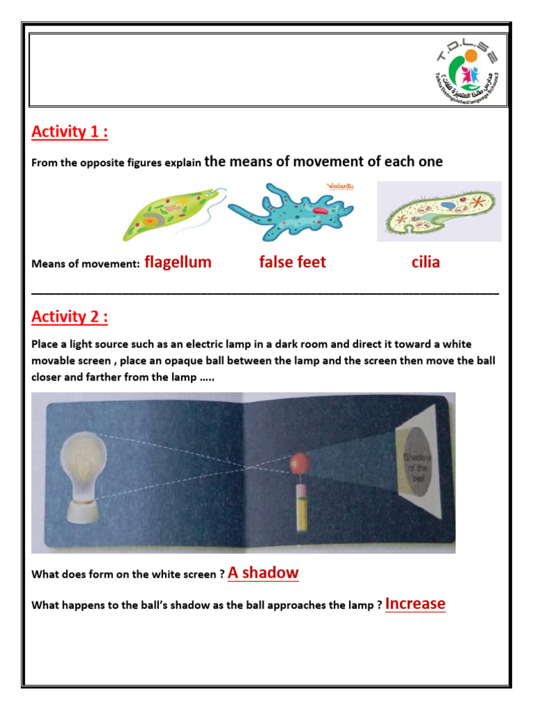 Science Experiments on Movement and Magnetism | PDF