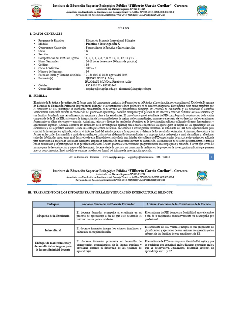 Sílabos de Educación Primaria EIB 2025 | PDF | Evaluación | Aprendizaje