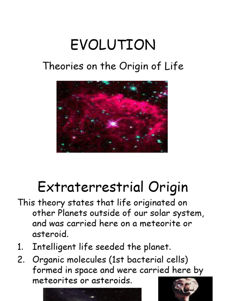 Theories on the Origin of Life and Evolution | PDF | Evolution | Life
