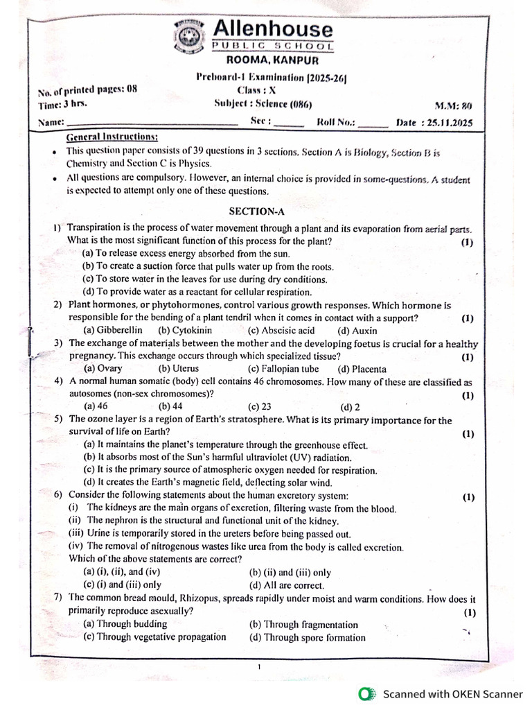 Preboard Paper | PDF