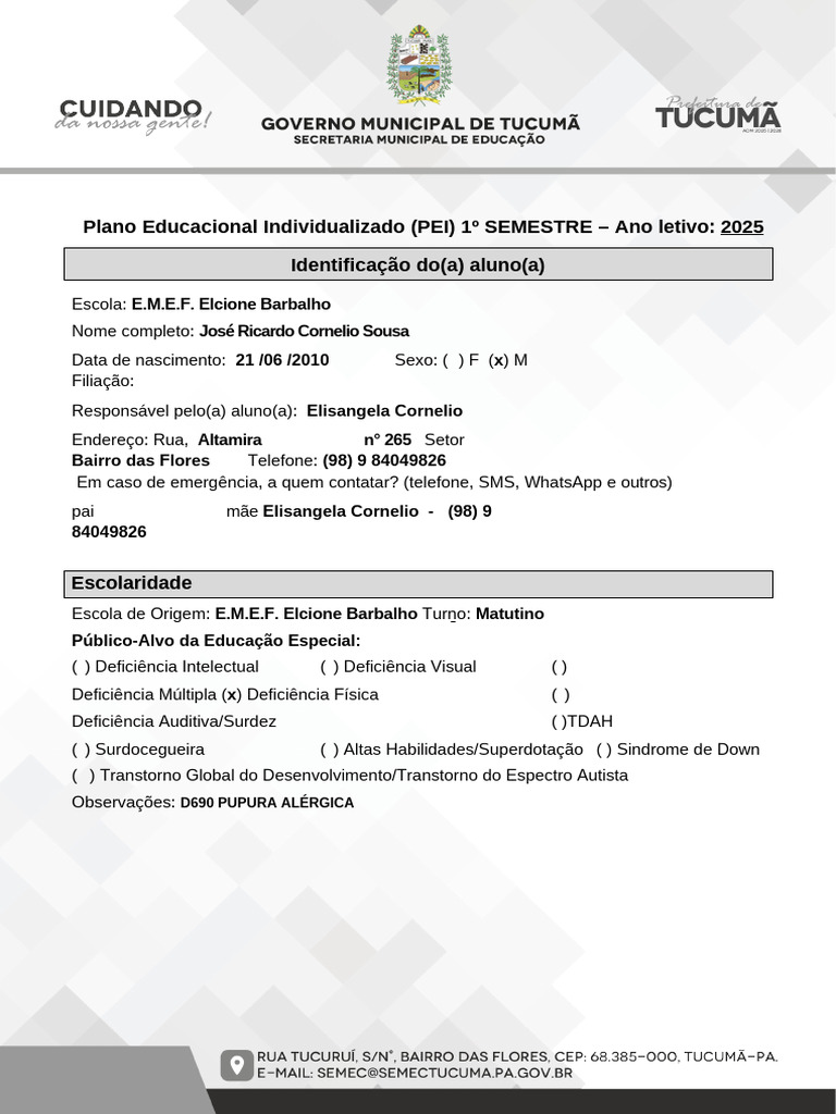 Plano Educacional Individualizado 2025 | PDF | Aprendizado | Pedagogia