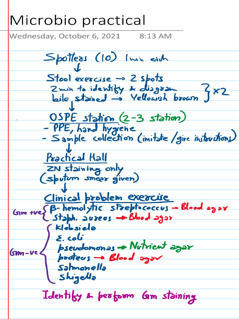 Microbio Practical | PDF