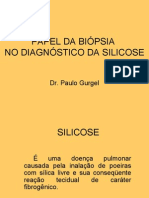 Papel Da Biópsia No Diagnóstico Da Silicose