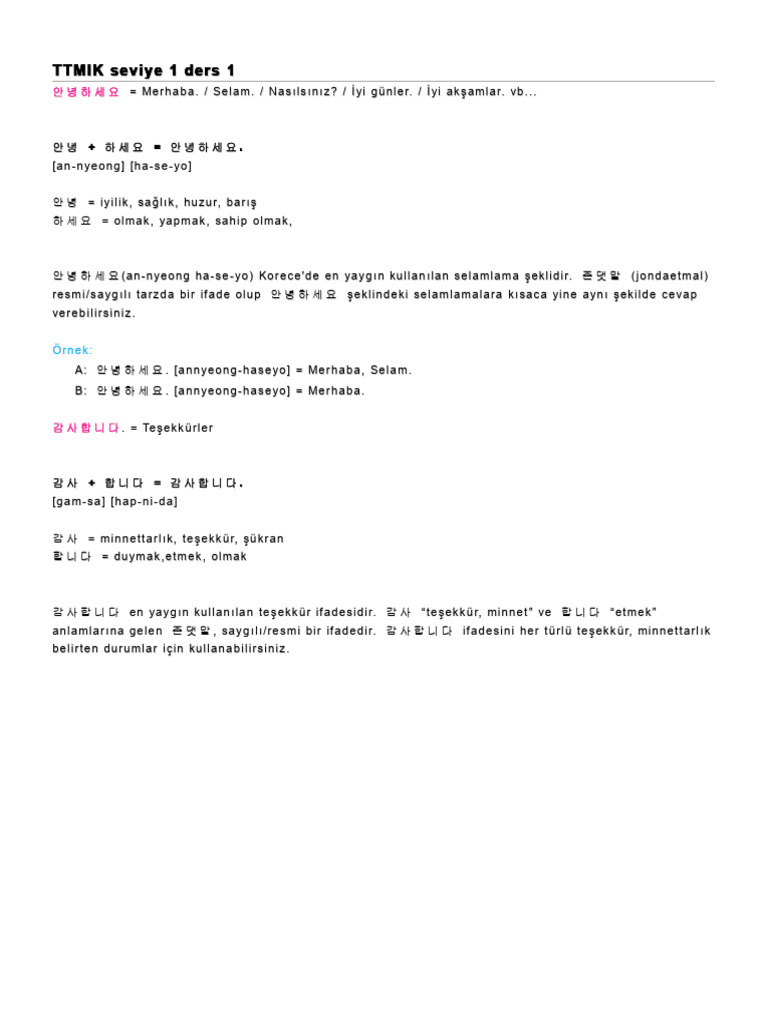 TTMIK Seviye 1 | PDF