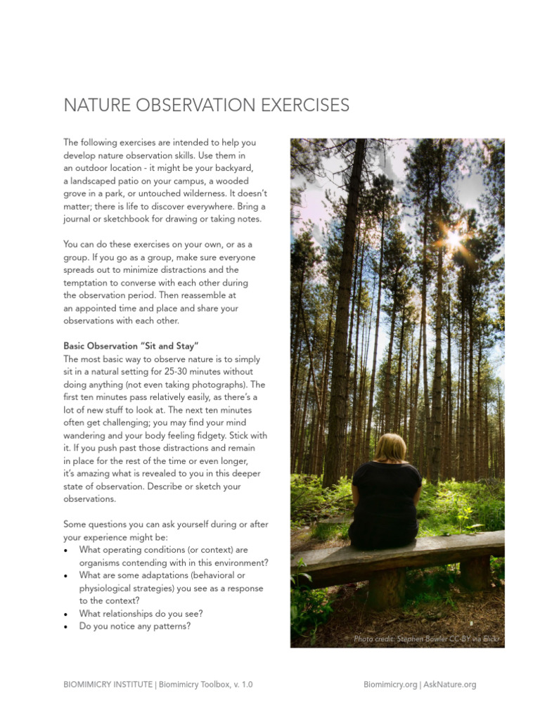 Nature Observation Exercises Guide | PDF | Drawing