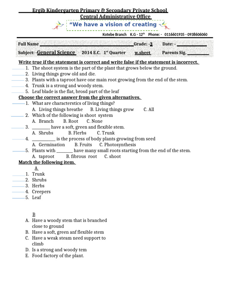 Grade 3 Gs 2 | PDF