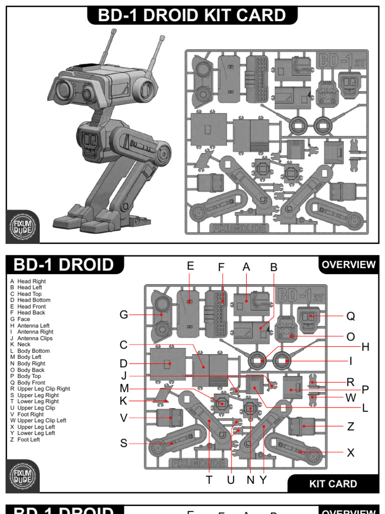 BD-1_Instructions_ver2 (08-10-2024) | PDF