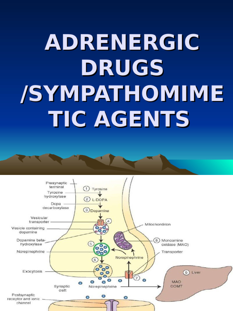 Adrenergic Drugs: Types and Actions | PDF | Dopamine | Norepinephrine