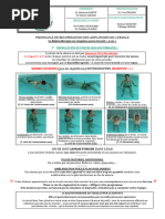 protocole-liotard-pour-r-ducation-paule-pdf-m-decine-clinique