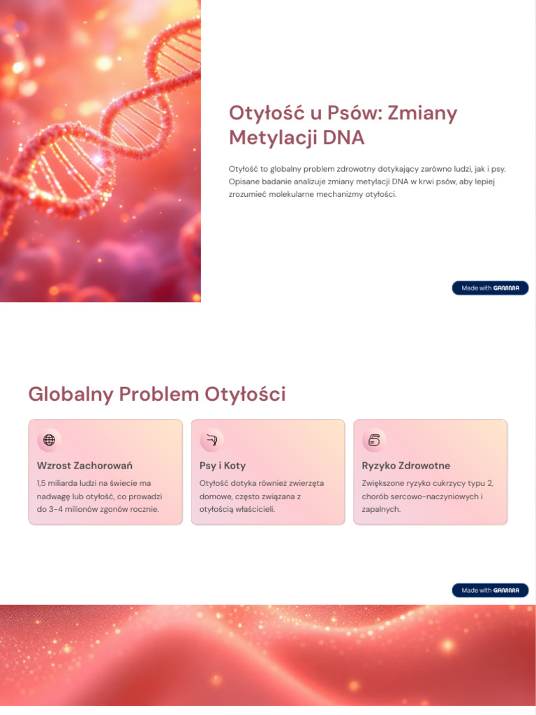 Obese Status Is Associated With Accelerated DNA Methylation - MP | PDF