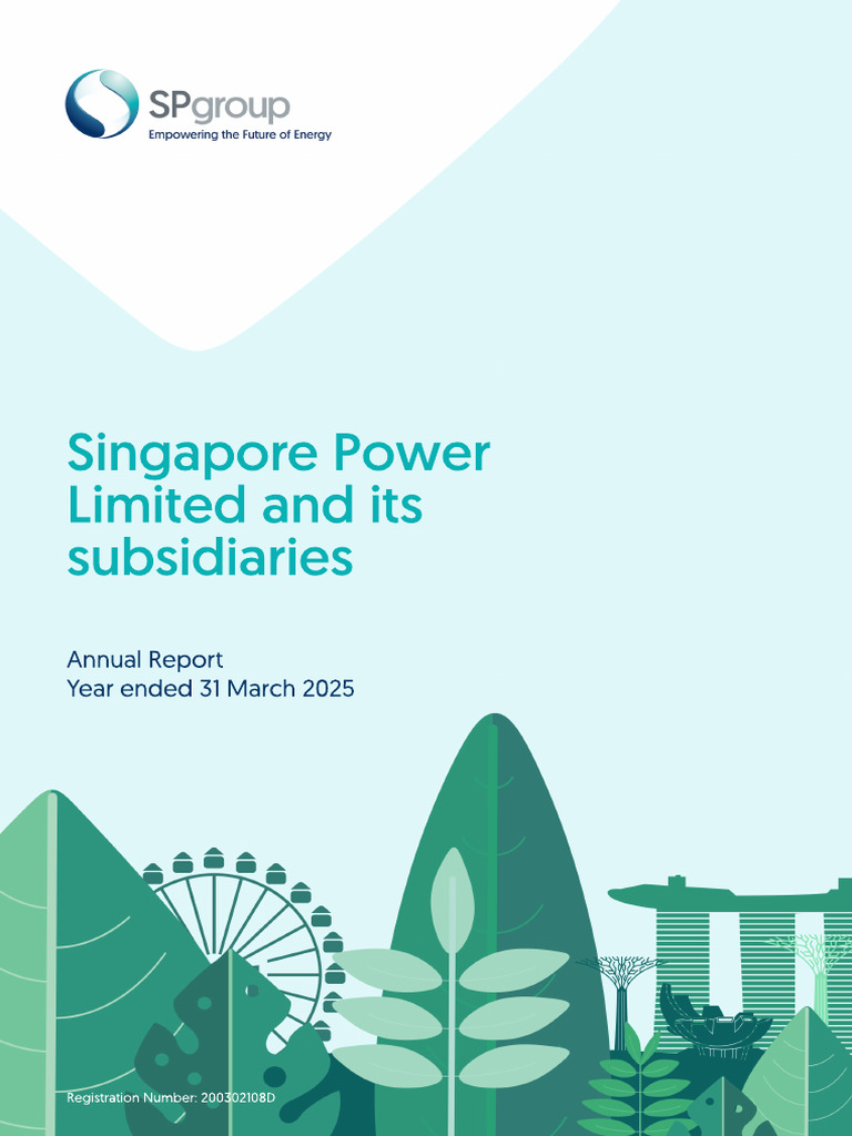Singapore Power Annual Report 2025 | PDF | Audit | Going Concern