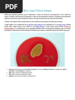 Download Base Agar Gelosa Sangre by deessire SN97259412 doc pdf