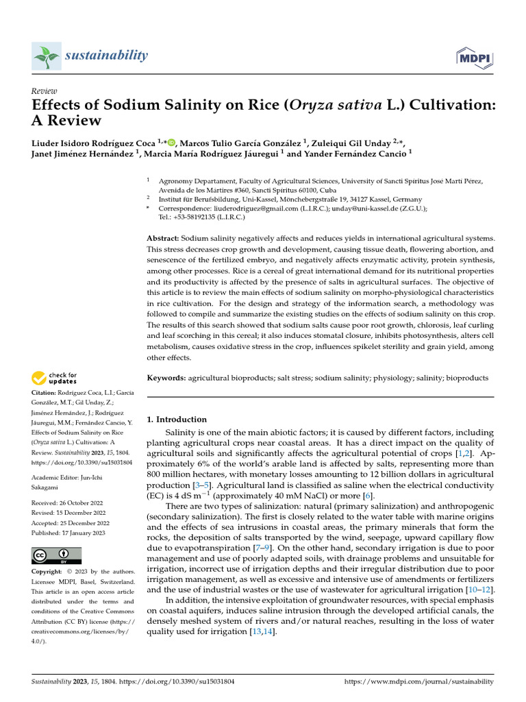 Sodium Salinity Effects on Rice Cultivation | PDF | Root | Plant Nutrition